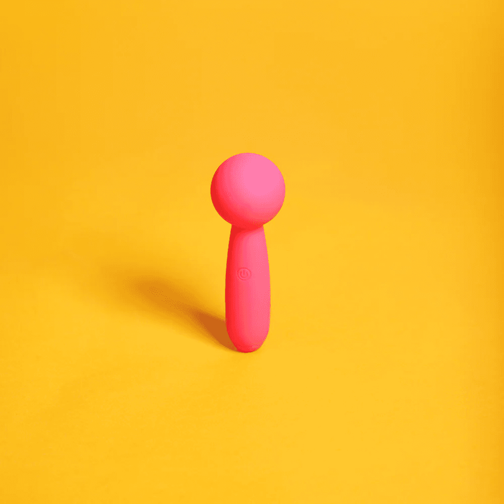 Lolly guide